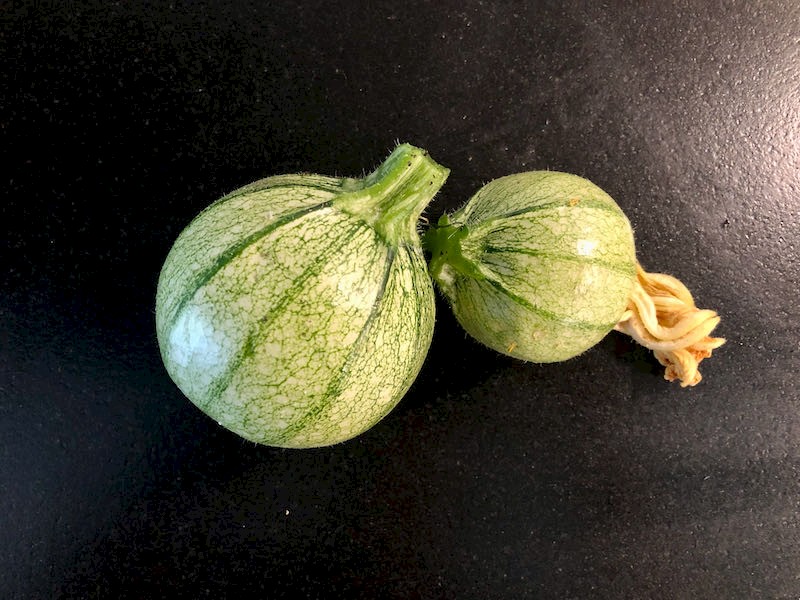 Zucchini Bild