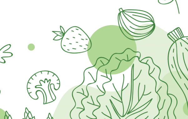 Kürbis Langer von Neapel: Riesig, kernarm & aromatisch