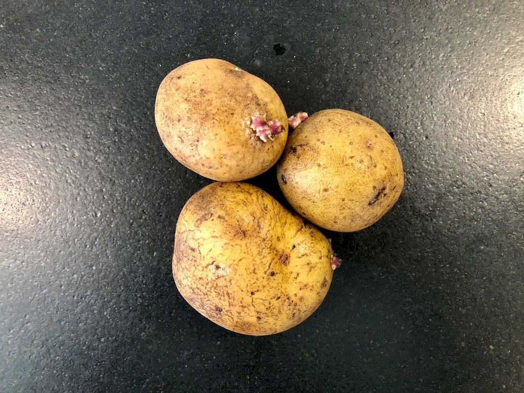 Kartoffel Belana: Anbau-Tipps für die ideale Lagerkartoffel